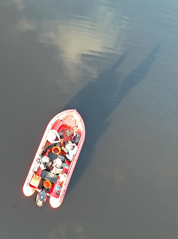 boat based, island and remote access ecological survey capability 