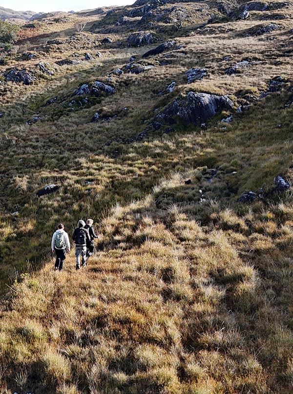 wetland, bog and peatland restoration