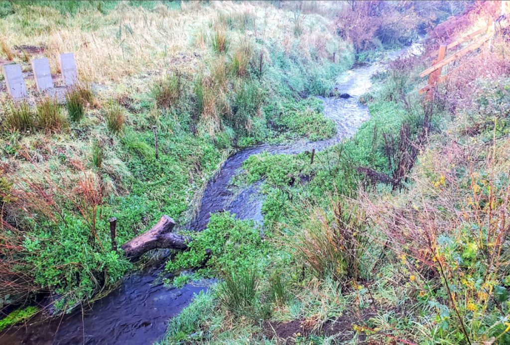 ecological reseaech and solutions river restoration drainage