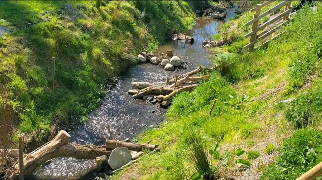ecological solutions on restoring river flownatural ways