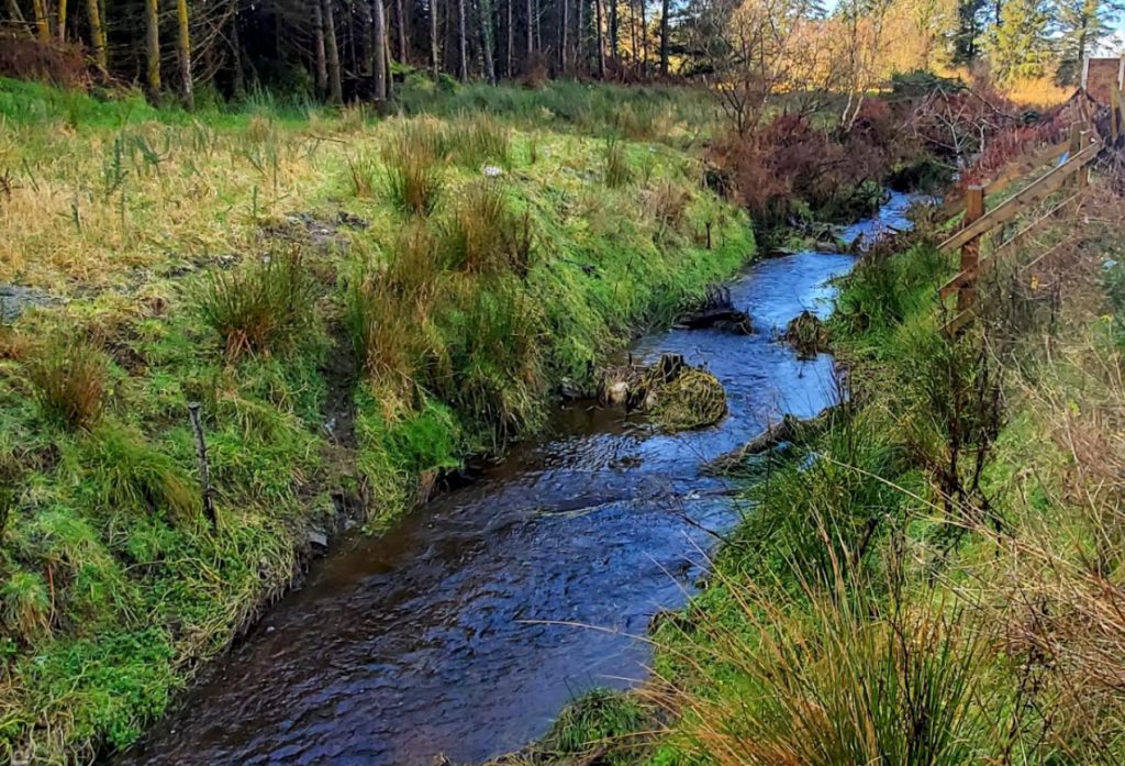 ecology research and solutions river drainage channel