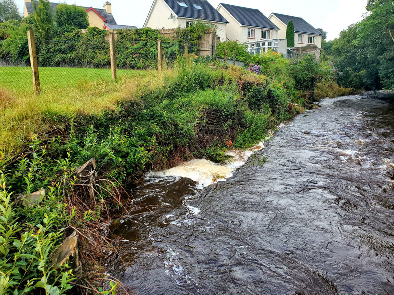 finnihy river banks ecology bioengineering project
