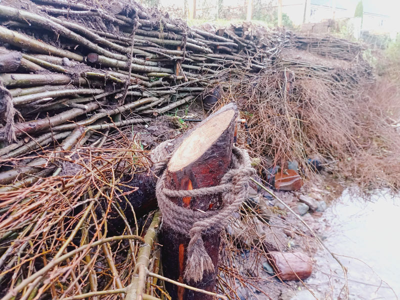 restoring river bank after erosion