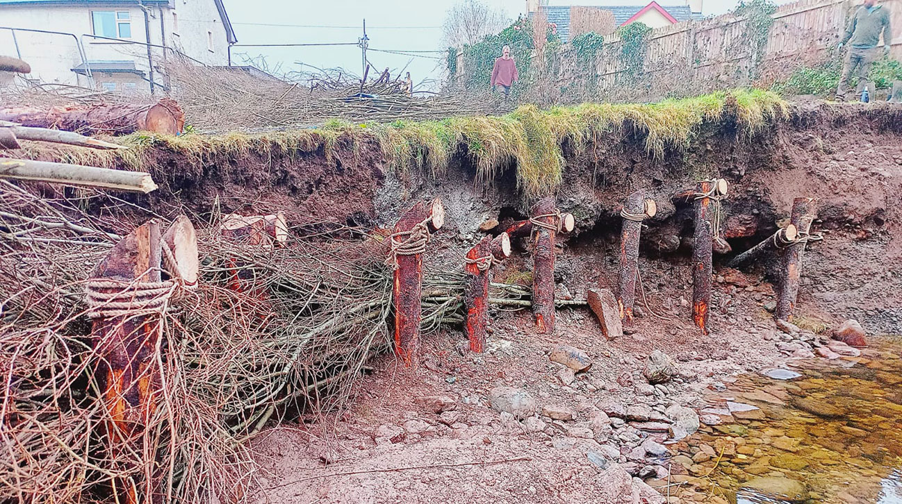 kenmare bioengineering project