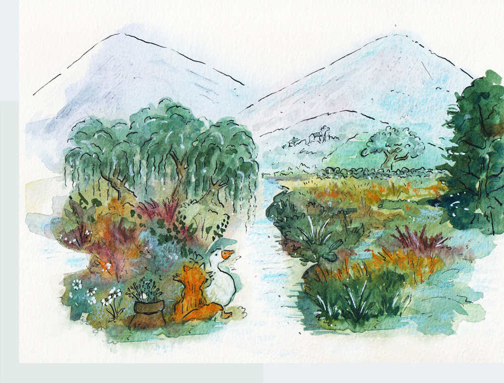 Home ecology research and solutions artwork