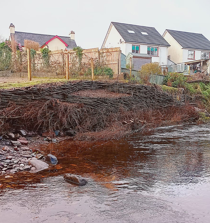 ecology research and solutions bioengineering river willow