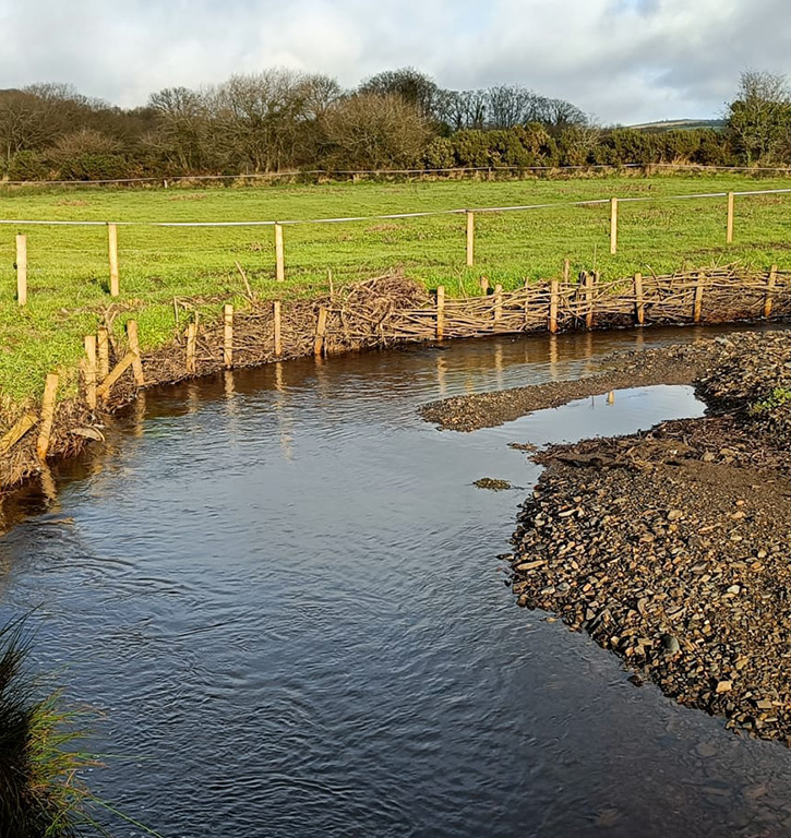 ecology research and solutions bioengineering services planting willow river bank