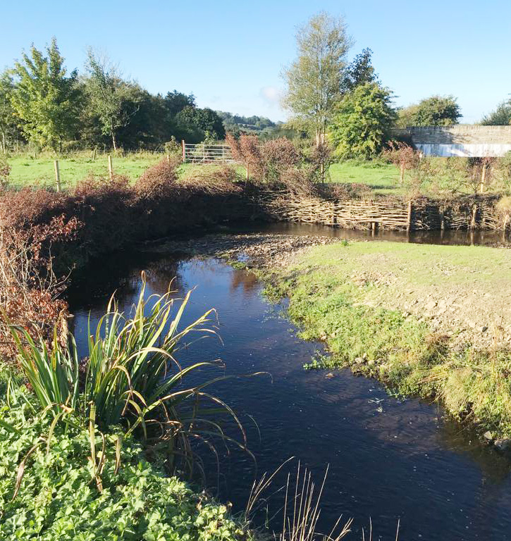 ecology research and solutions bioengineering services